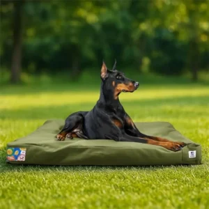 Indestructible Canvas Outdoor Dog Bed