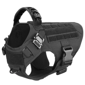 Training Harness And Leash Set
